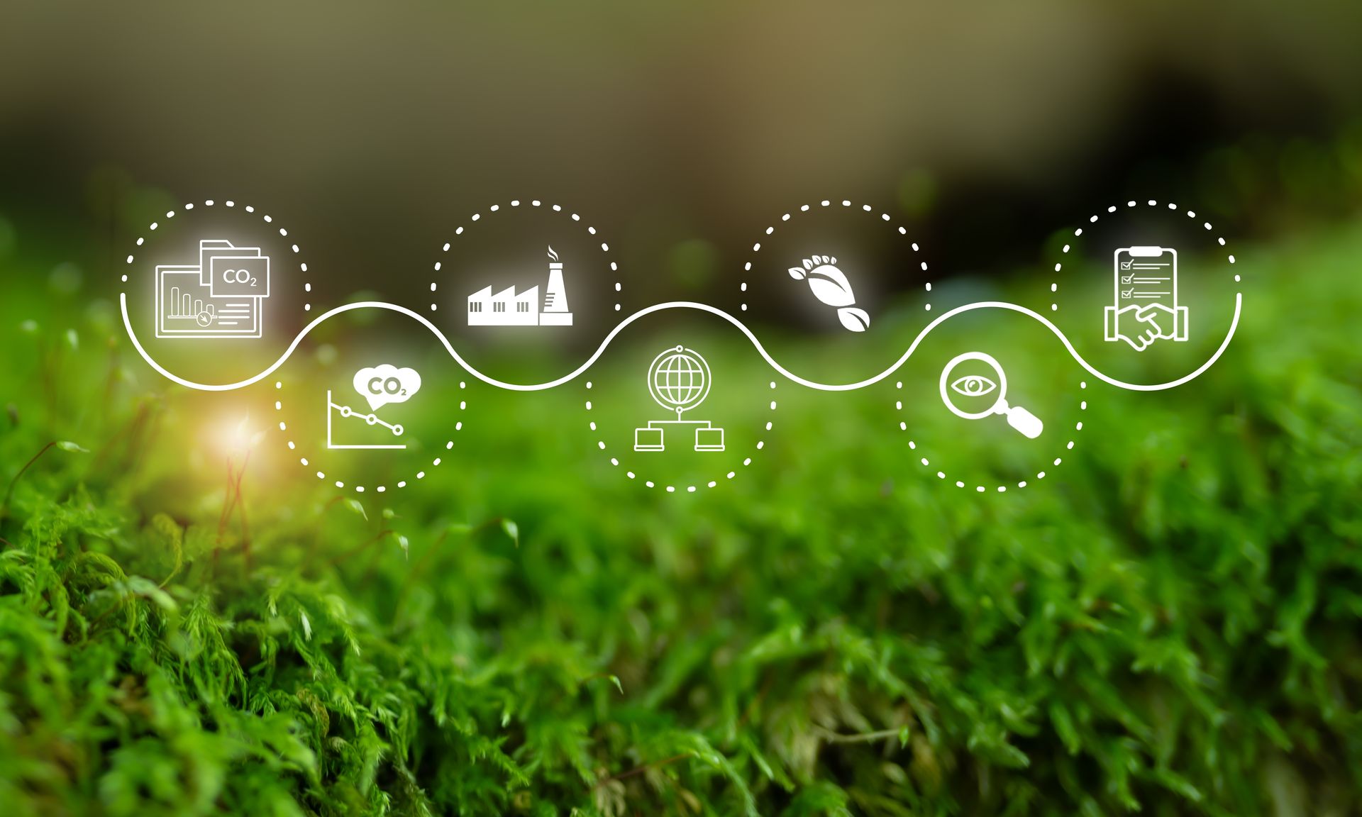 ESG & Sustainability Reporting